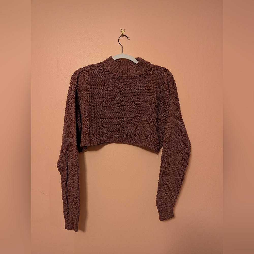 Hollister Cropped Sweater